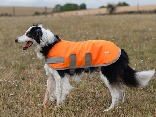 Classic Waterproof Dog Coat 150g - Orange High Viz