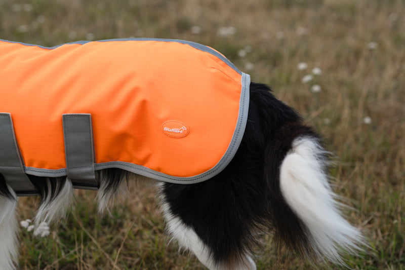 Classic Waterproof Dog Coat 150g - Orange High Viz