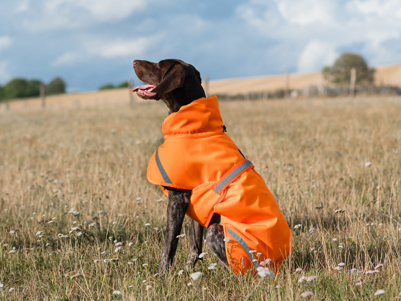 Luxe Waterproof Dog Coat 0g - Orange High Viz