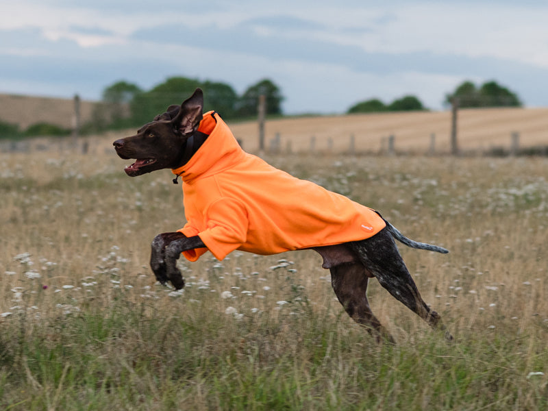 Fleece Dog Jumper - Orange WIDE FIT