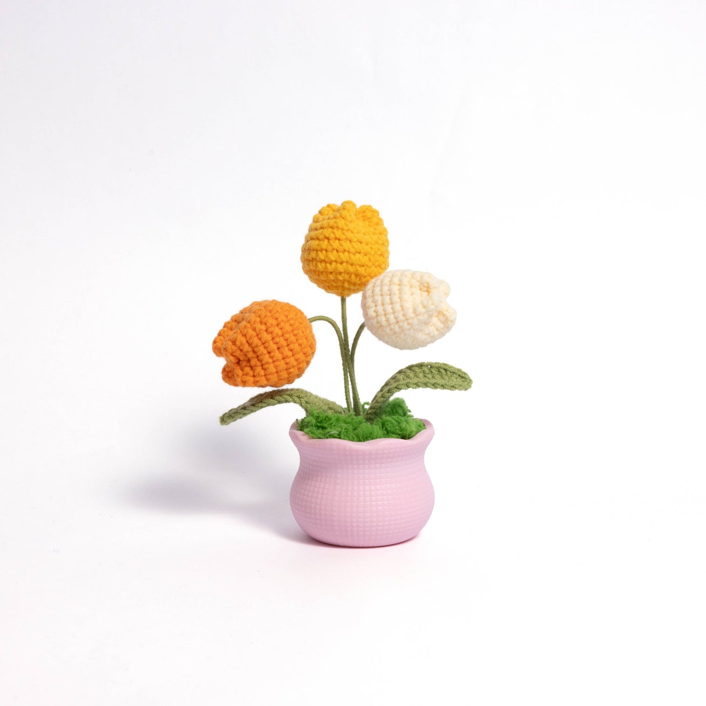 Tulips and Daisy Pot Plant