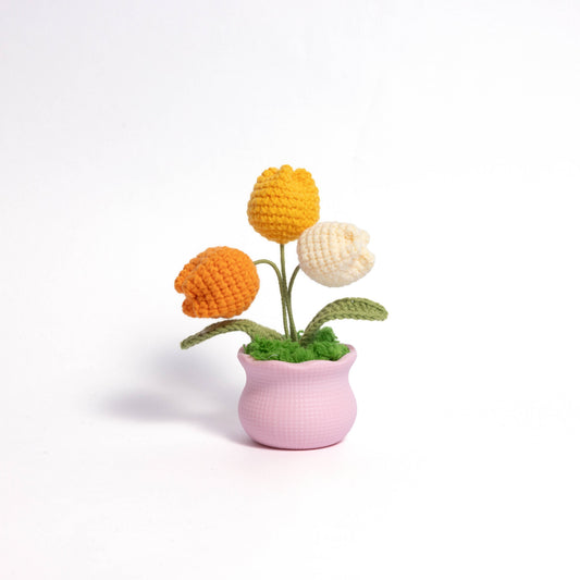 Tulips and Daisy Pot Plant