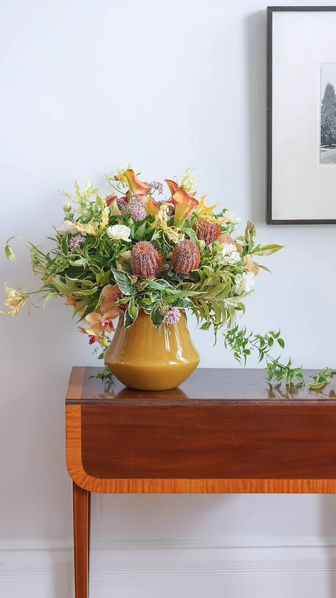 Orchid POT MARCO - NIGHTBLUE Glass