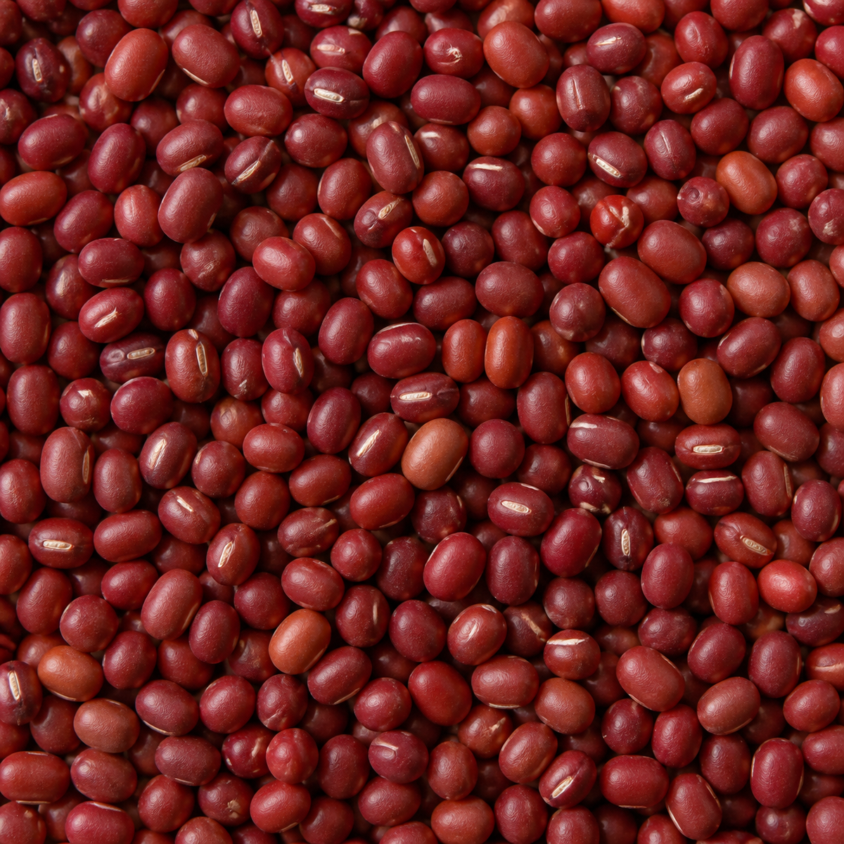 Infinity Foods Bulk Organic Aduki Beans