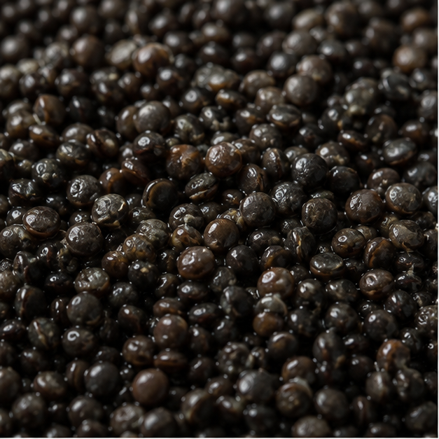 Biona Organic Black Beluga Lentils