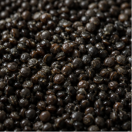 Biona Organic Black Beluga Lentils