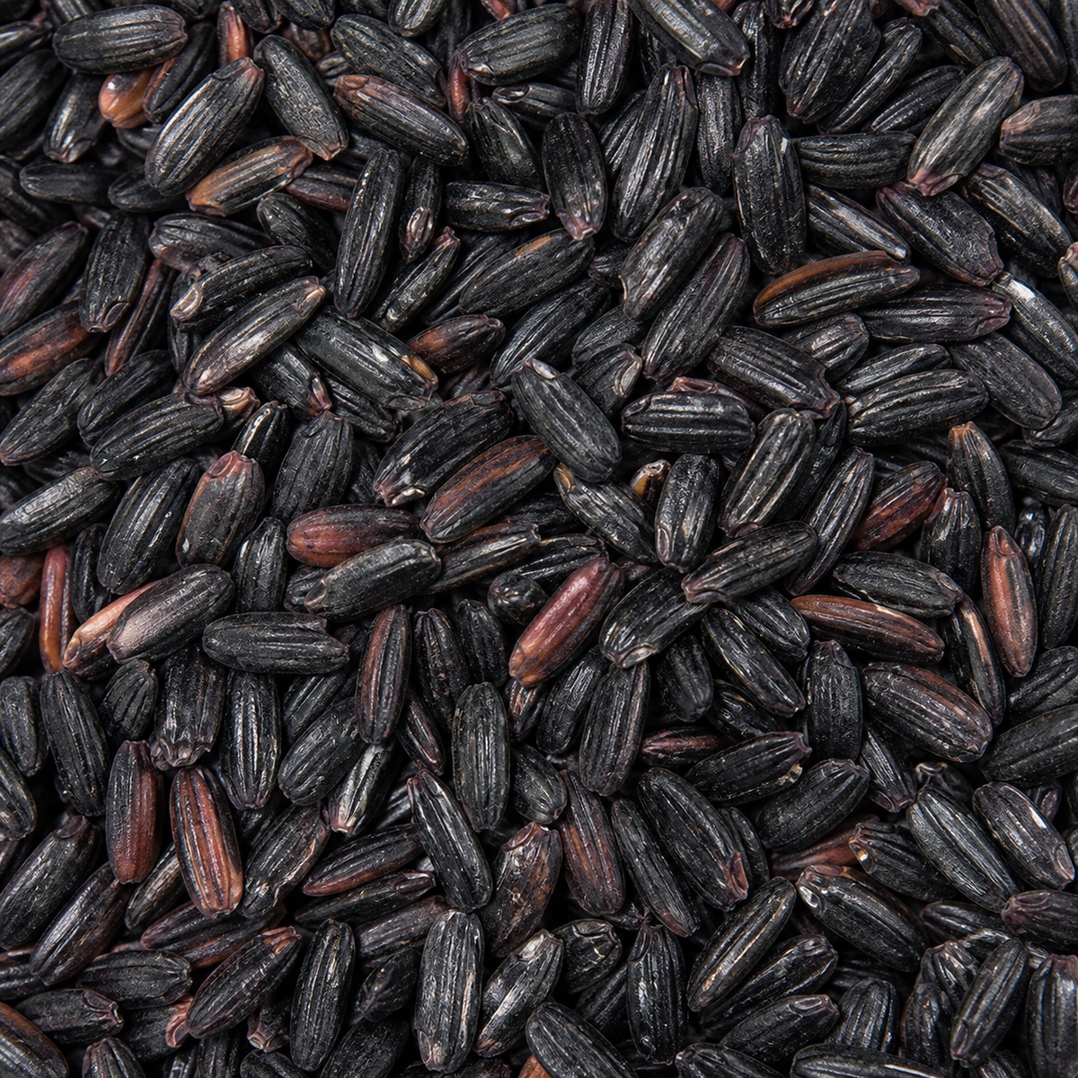 Organic Black Rice