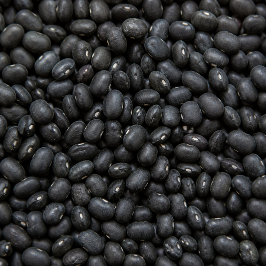 Infinity Foods Bulk Organic Black Turtle Beans