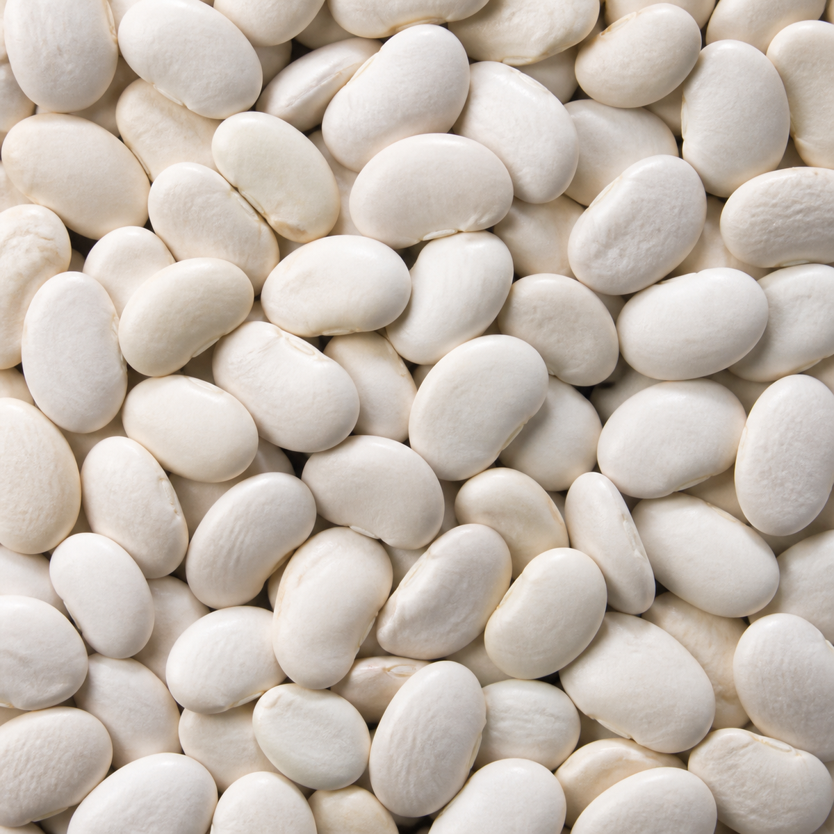 Infinity Foods Bulk Organic Butter Beans 5kg
