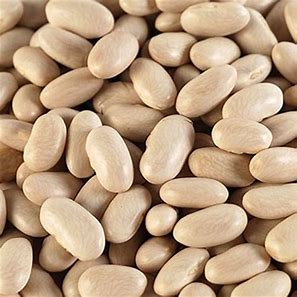 Organic Cannellini Beans