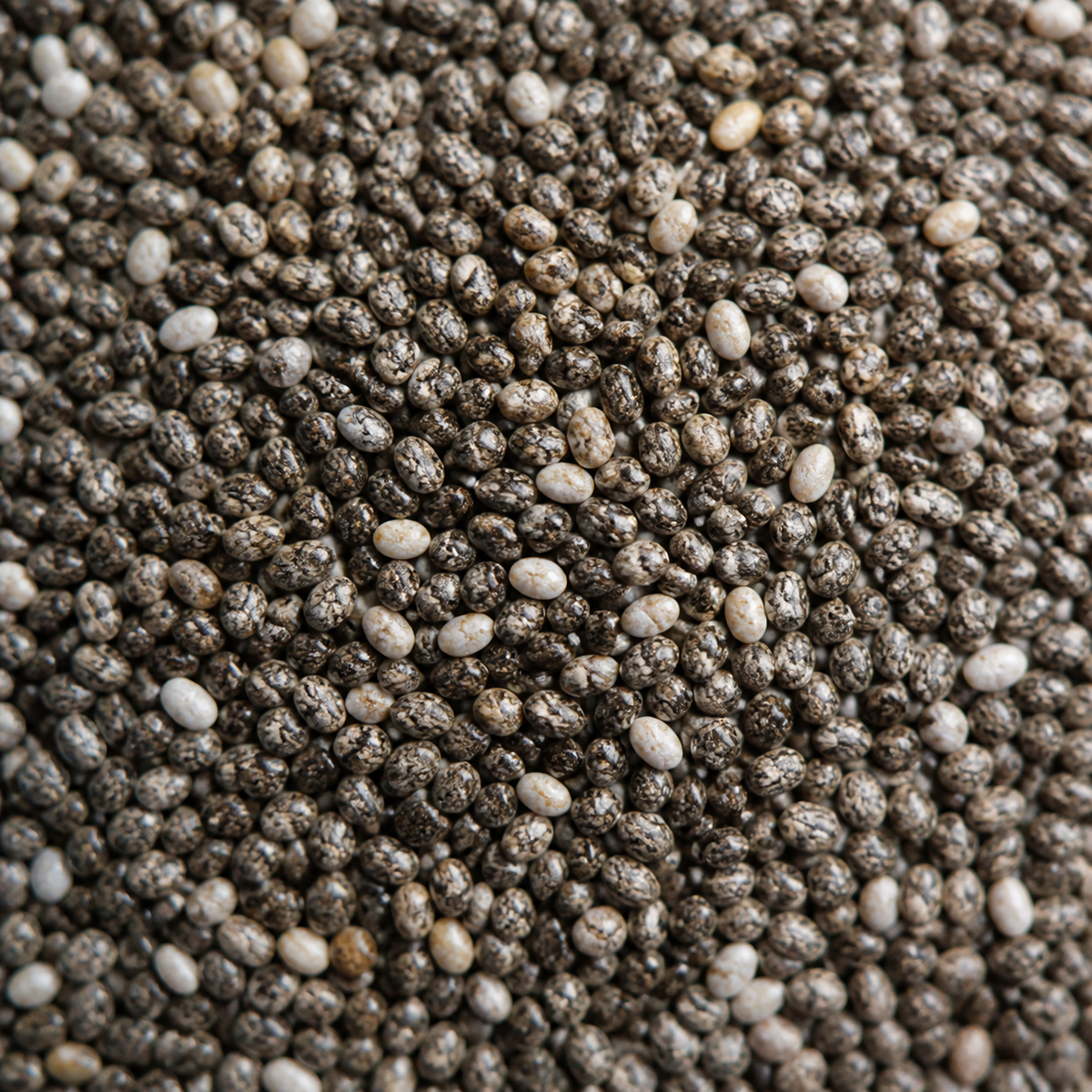 Organic Chia Seeds