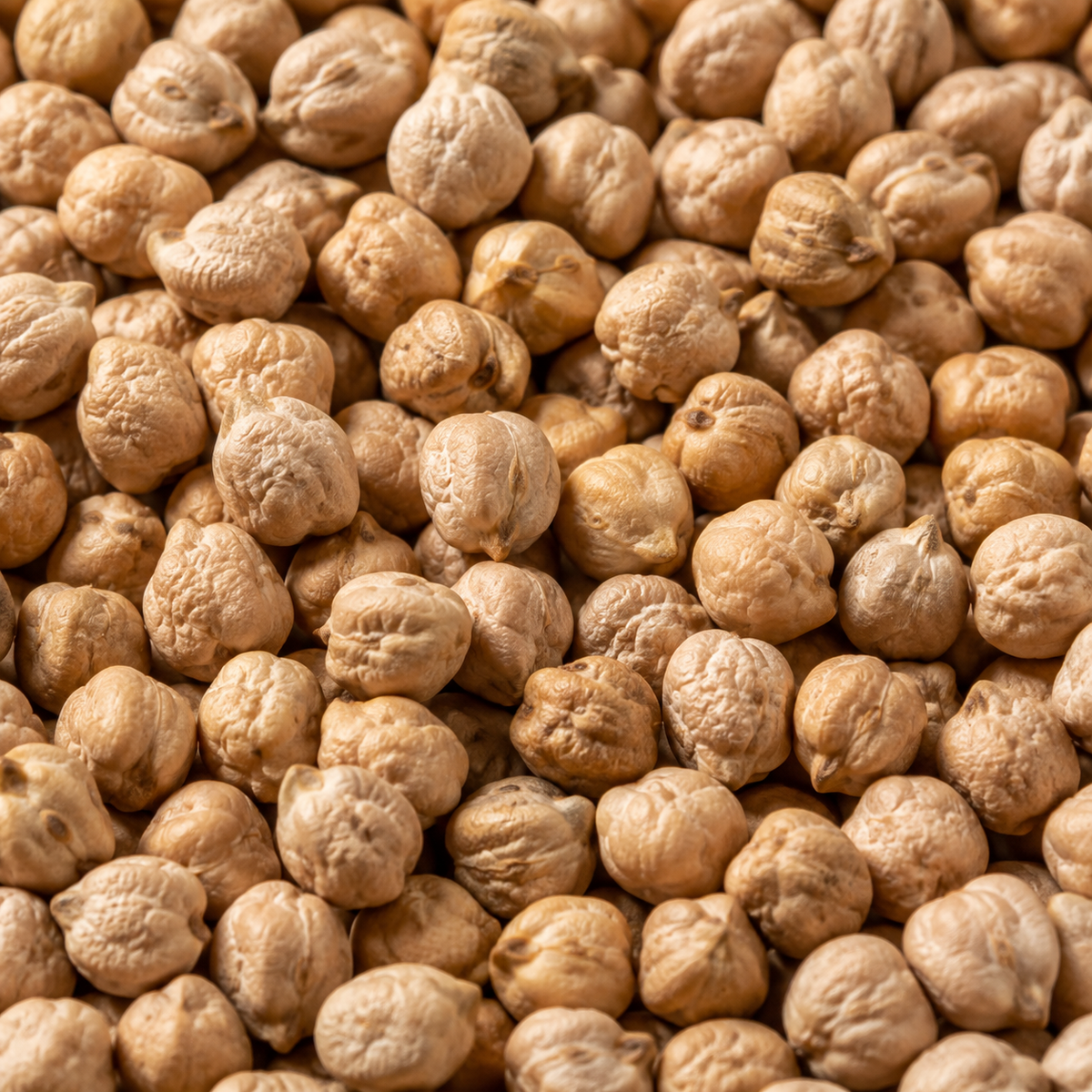 Organic Chickpeas