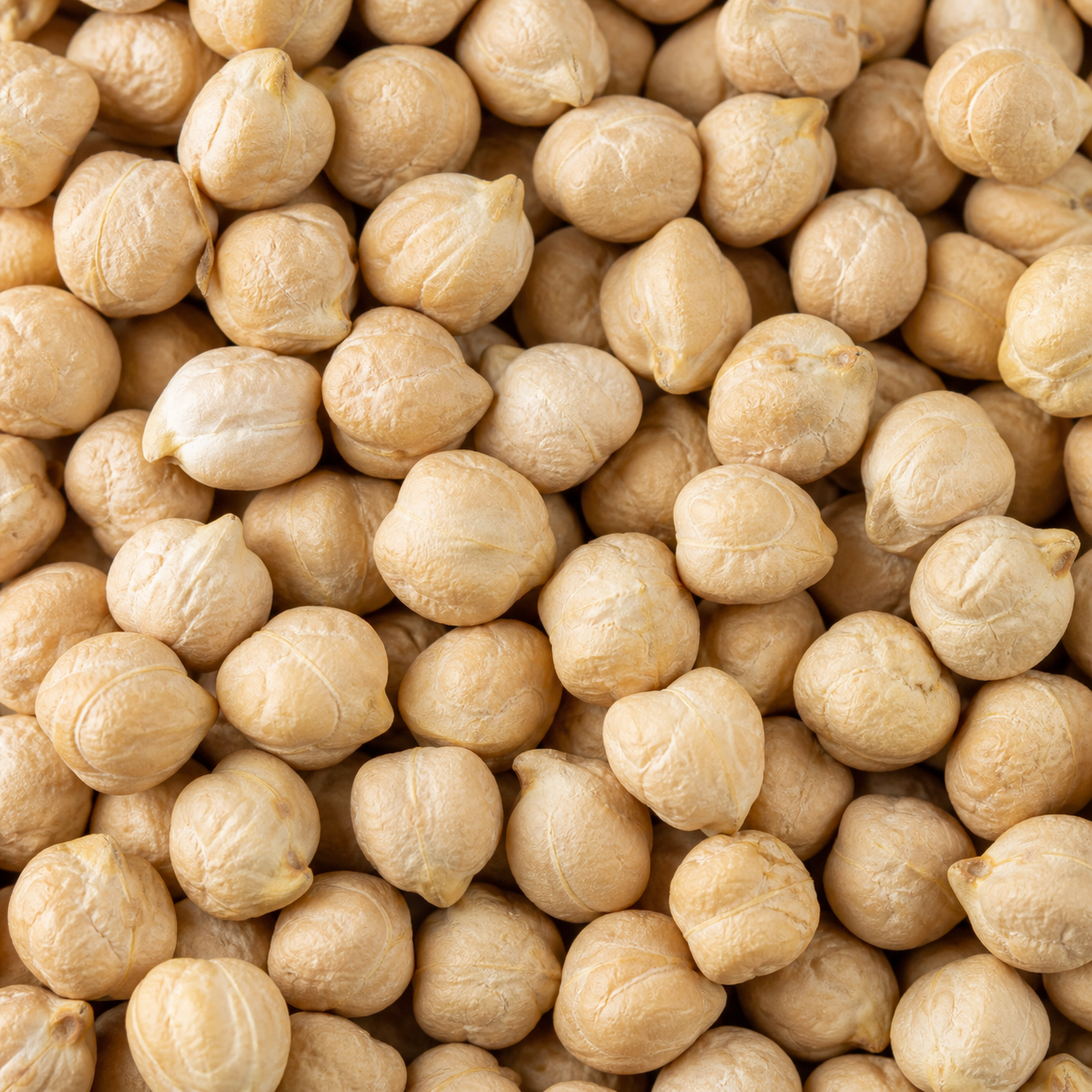 Infinity Foods Bulk Organic Chickpeas