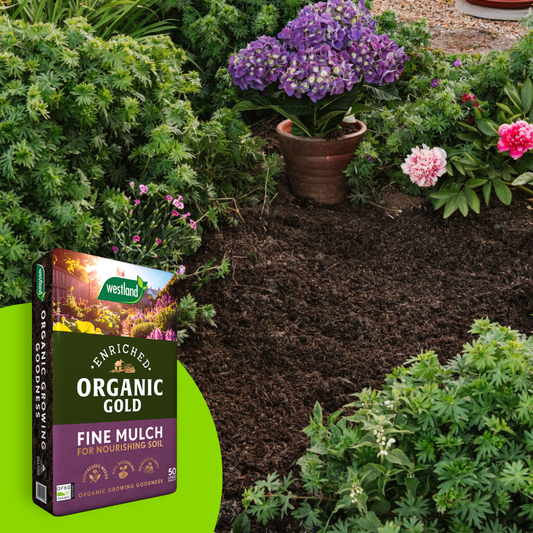 Organic Gold Fine Mulch 50ltr Bulk Buy