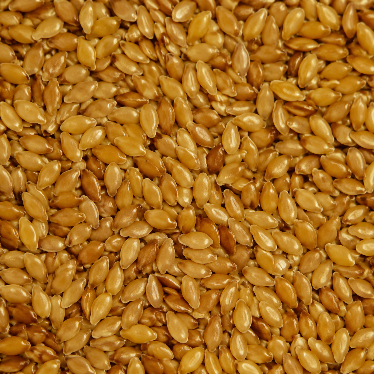 Organic Golden Flaxseed (Linseed)