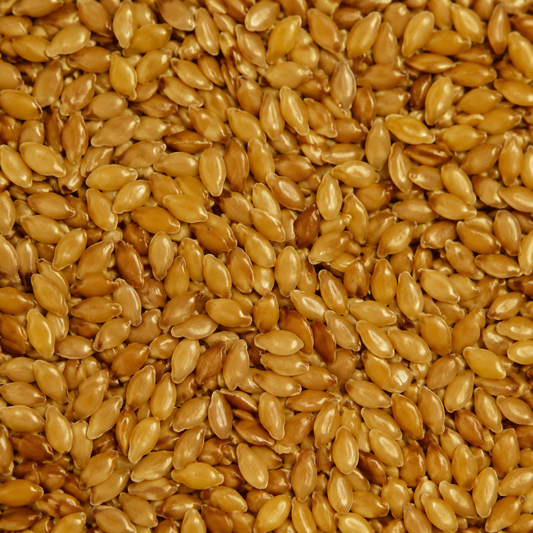 Organic Golden Flaxseed (Linseed)