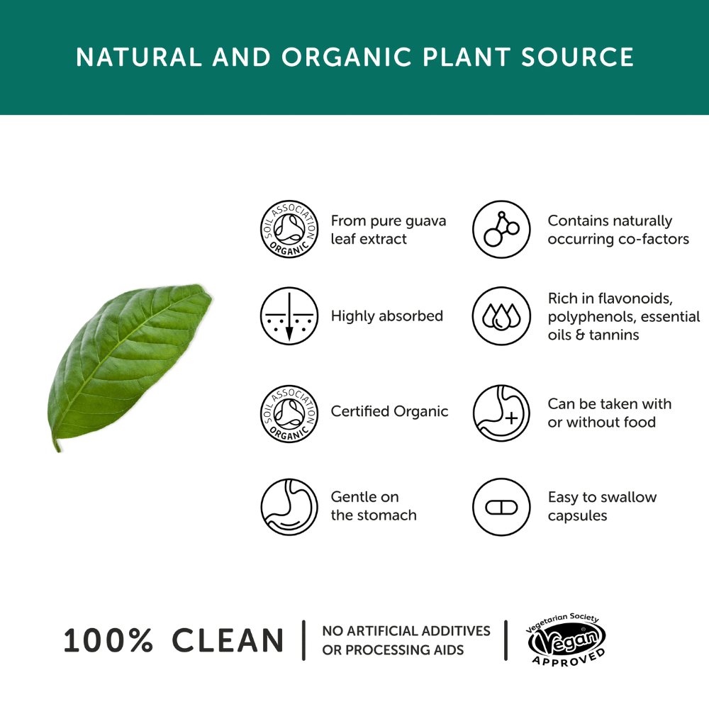 Organic Guava Leaf Zinc Capsules – Soil Association Certified Plant-Based Zinc (30 Capsules)