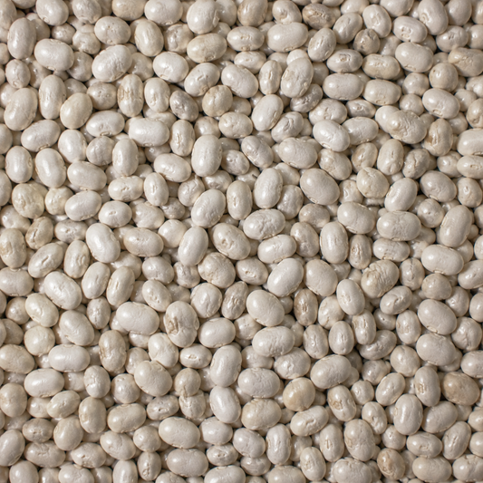 Organic Haricot Beans