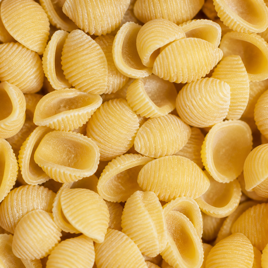 Organic Malloreddos Small Shell Pasta