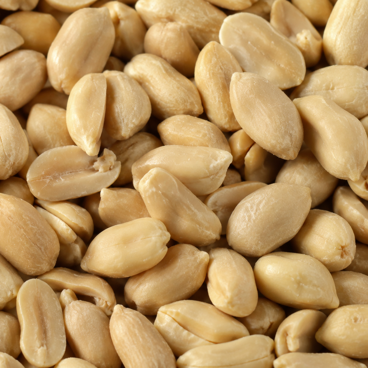 Organic Peanuts