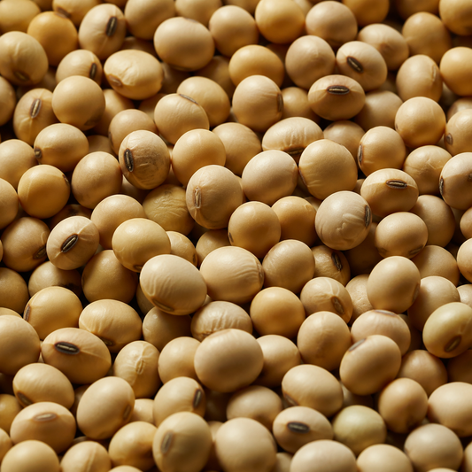 Organic Soya Beans