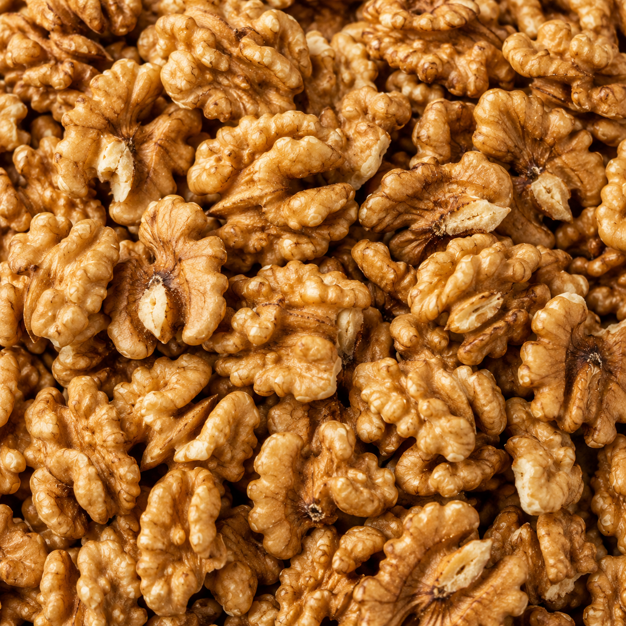 Organic Walnuts Halves