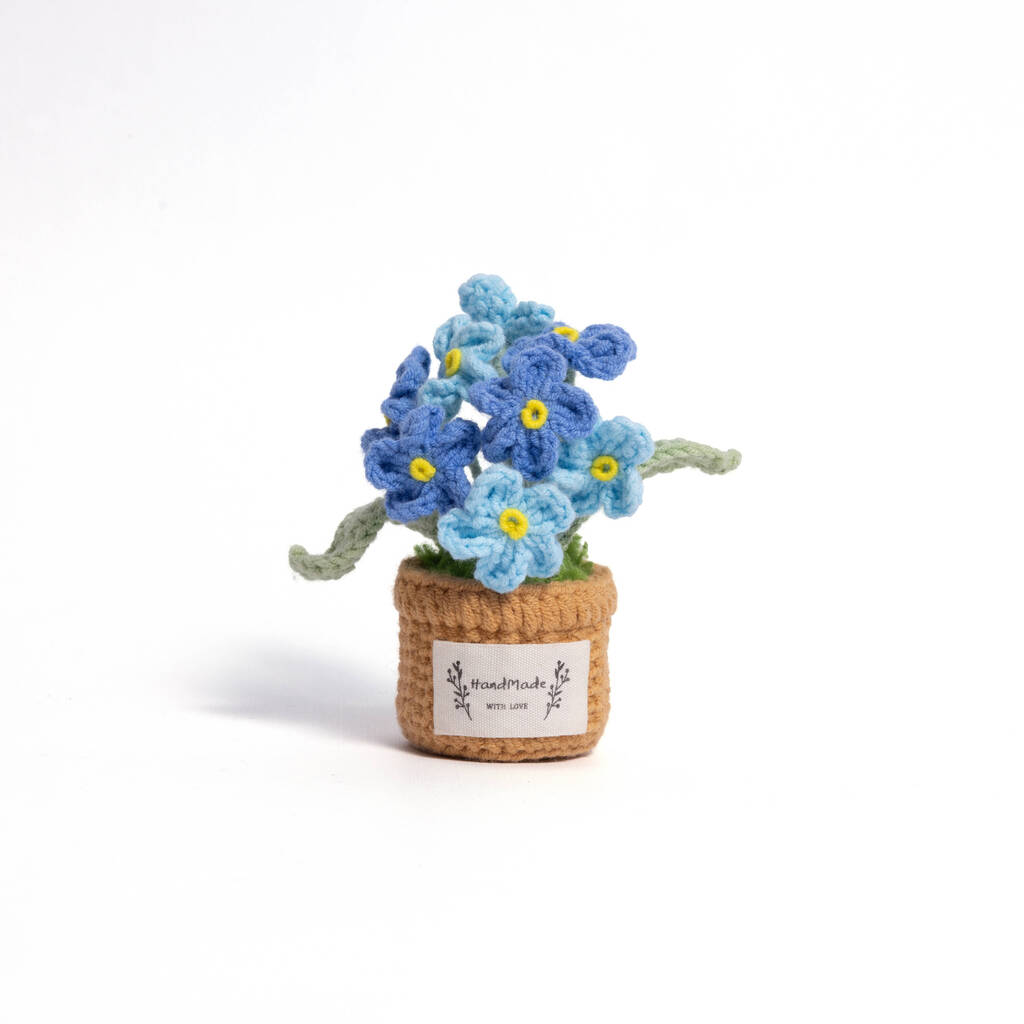 Forget-Me-Not Pot Plant