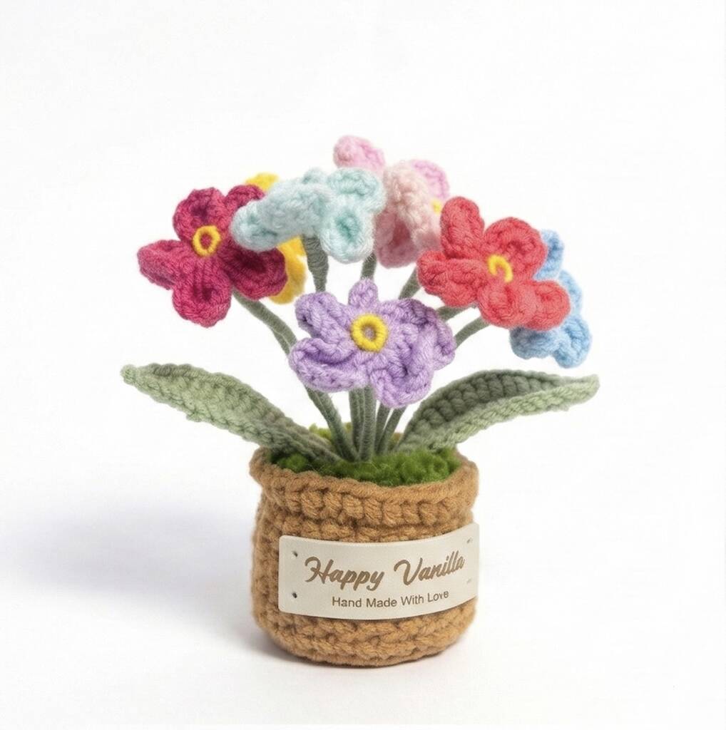 Forget-Me-Not Pot Plant