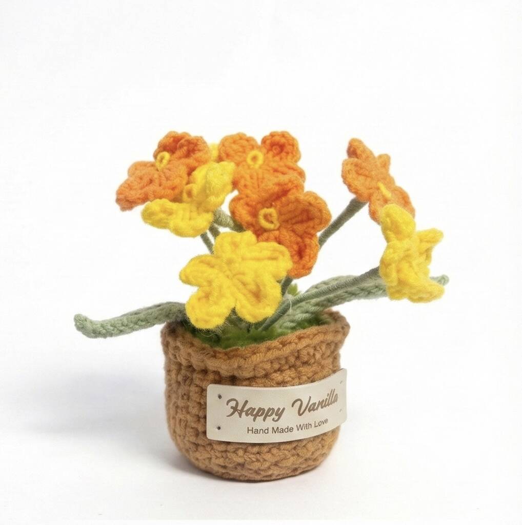 Forget-Me-Not Pot Plant