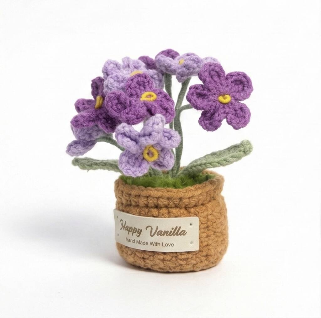 Forget-Me-Not Pot Plant