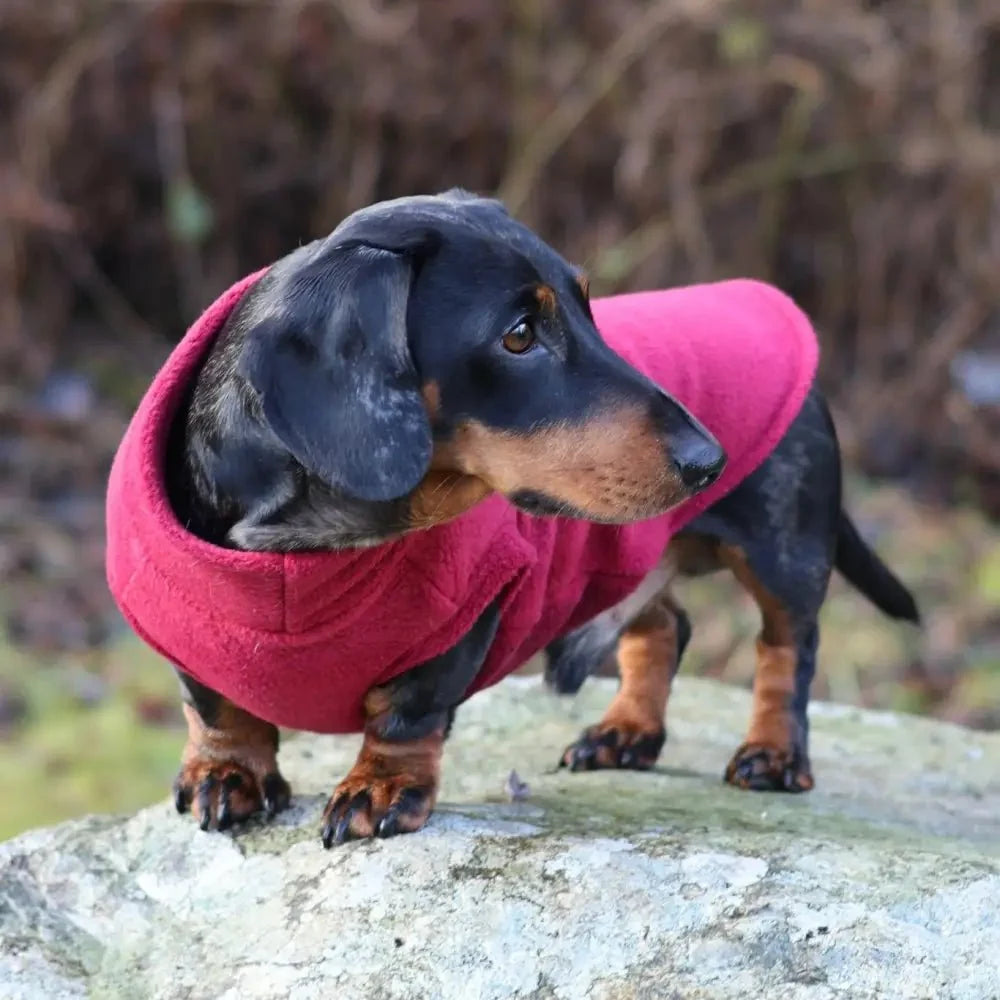 Standard Sized Fleece Snuggle Jumper - Ready to Ship