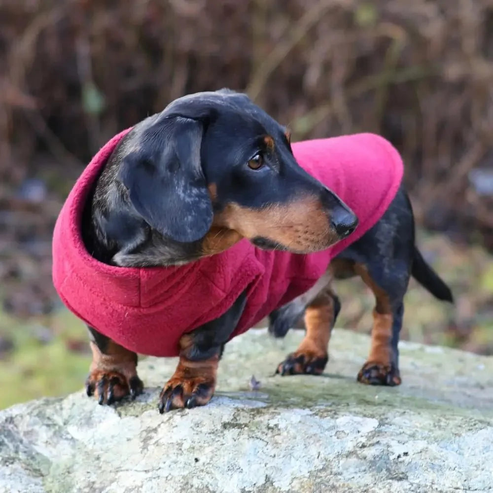 Standard Sized Fleece Snuggle Jumper - Ready to Ship