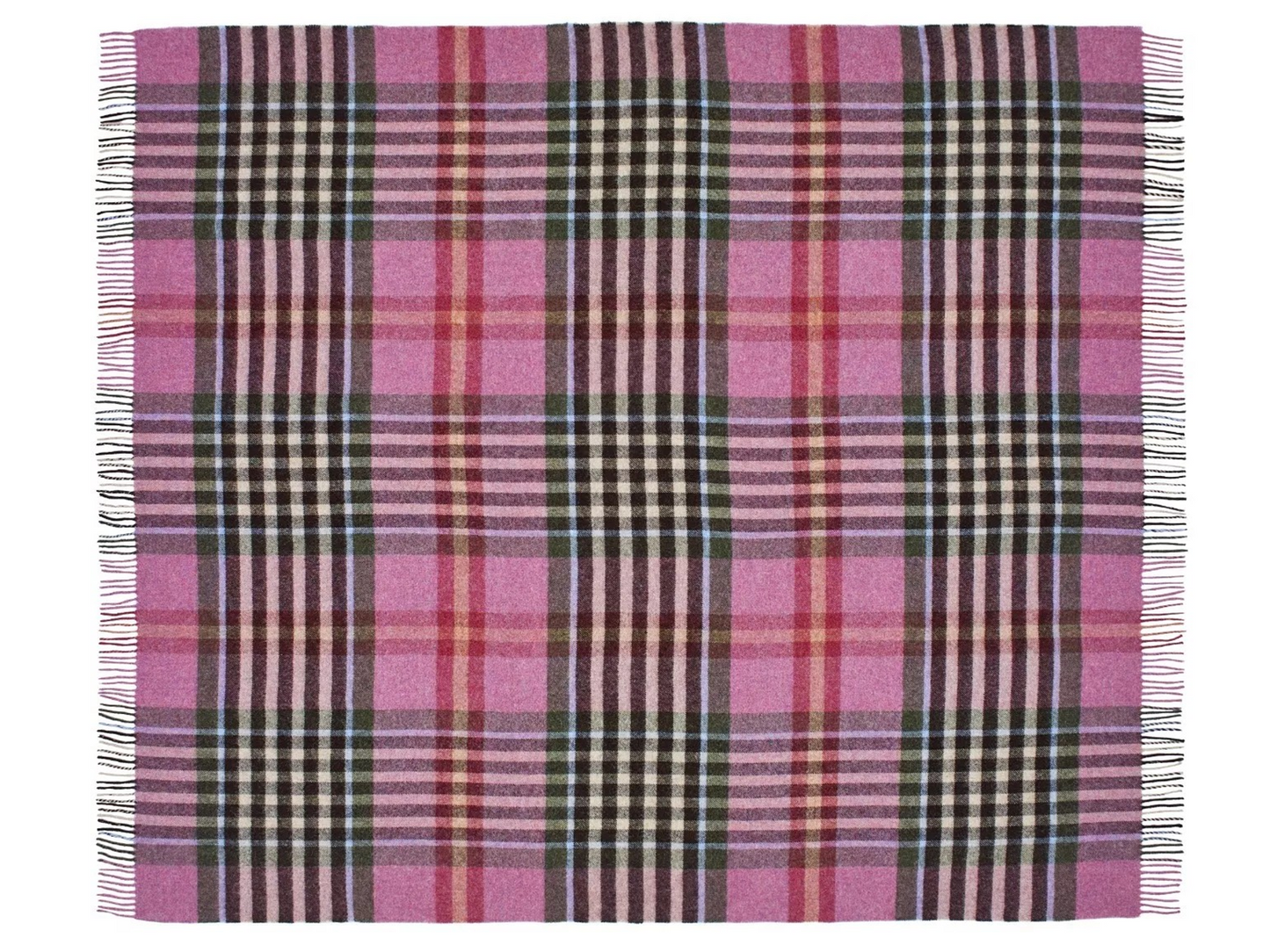 Chesil Check Pure New Wool Throw - Raspberry