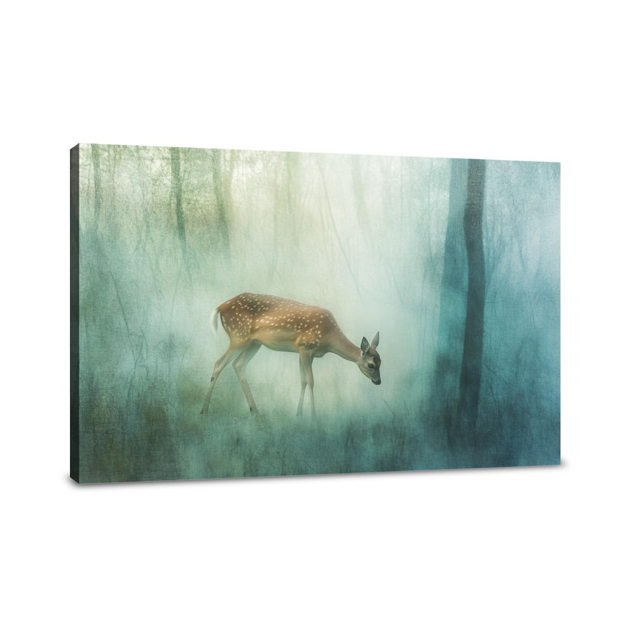 Muntjac Deer Serenity Canvas