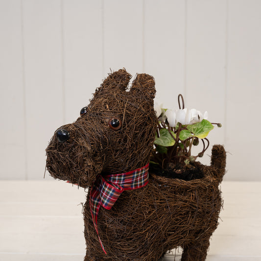 Scottie Dog Planter with Tartan Ribbon