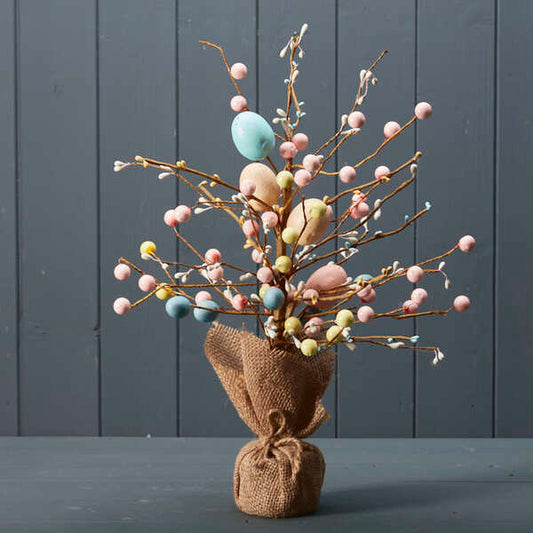 Weeping Egg Tree