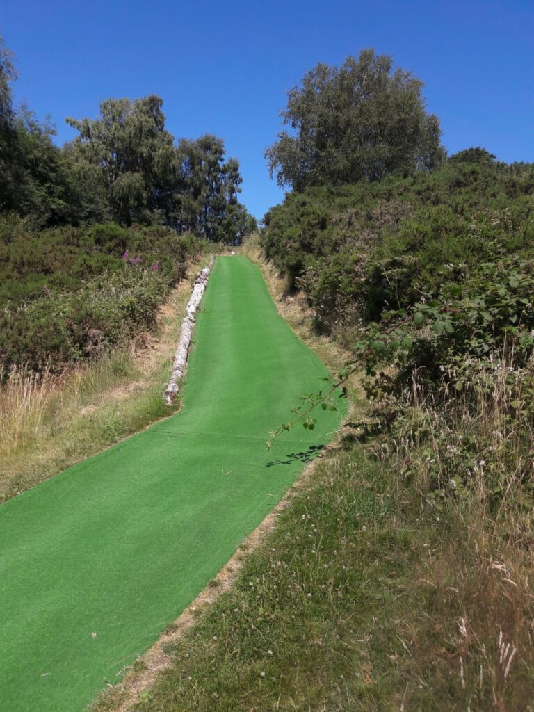 County Premium Pathway Turf