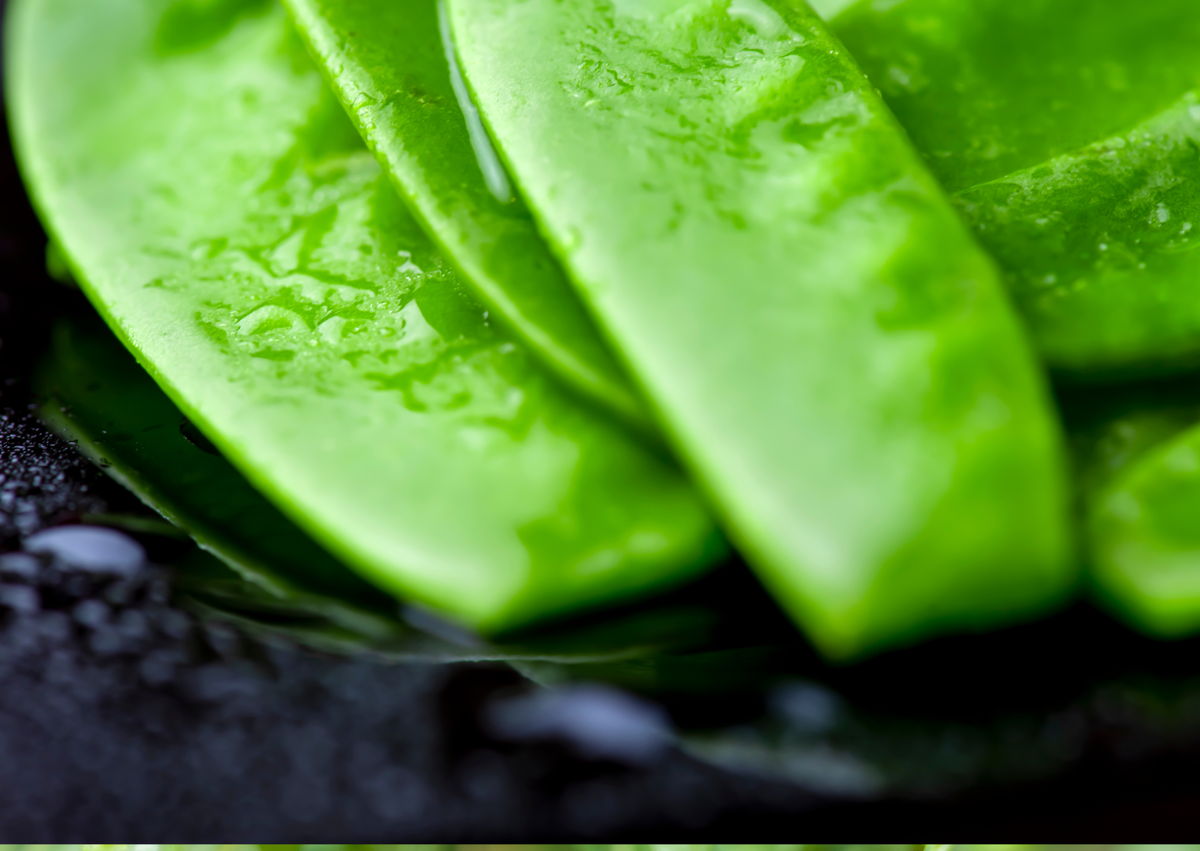 Pea Mangetout Carouby de Maussane