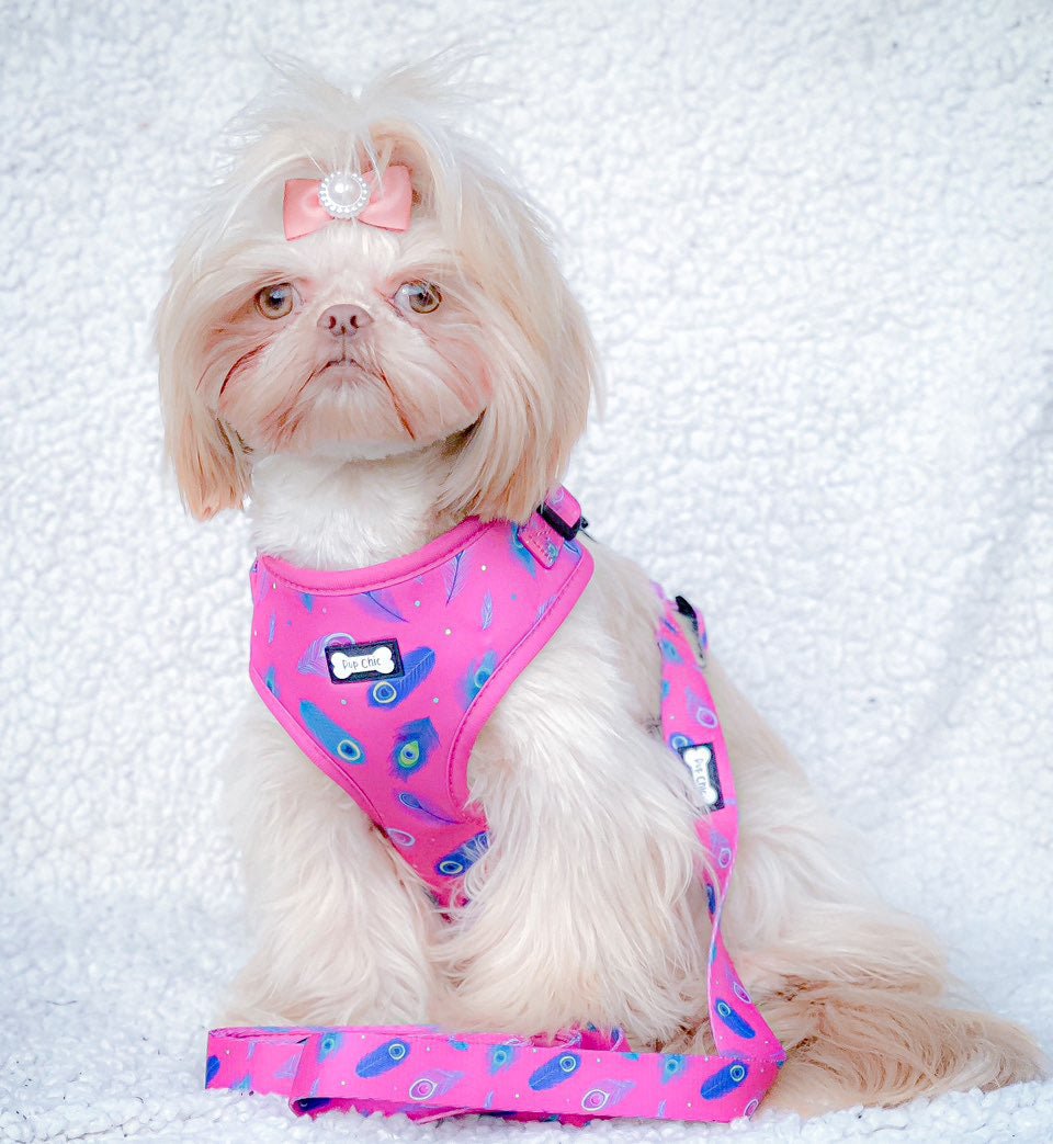 Peacock Power 5ft Dog Lead