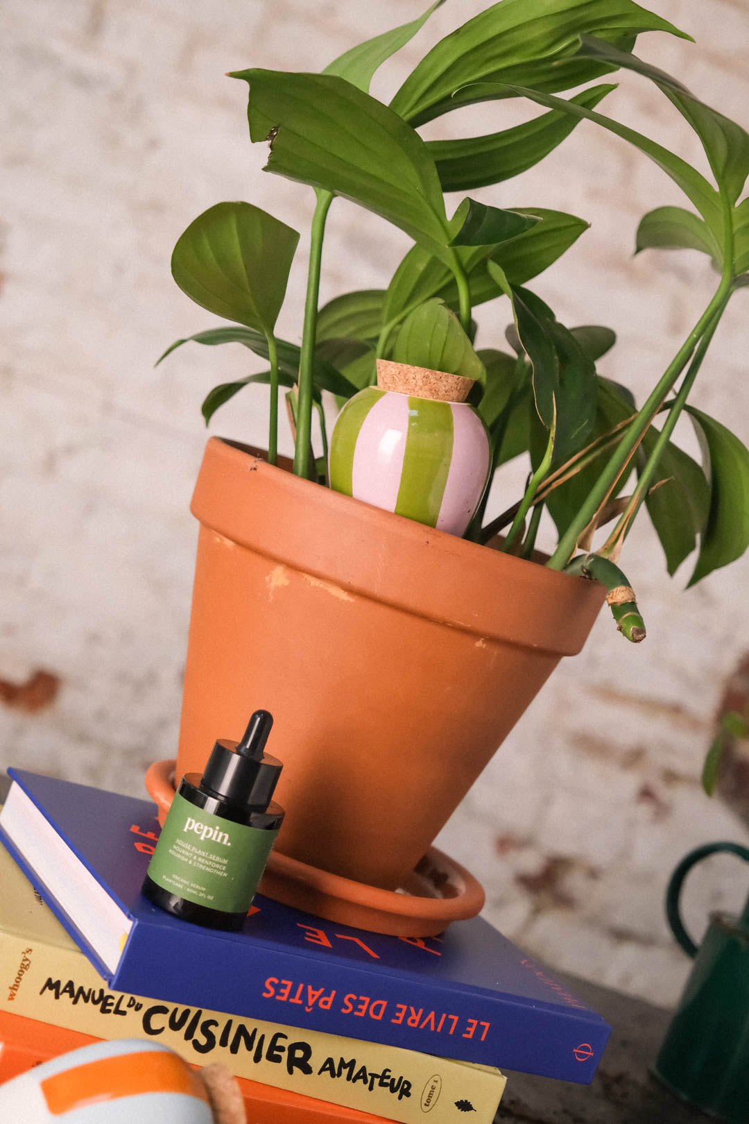 Green and lilac striped Pepin Olla in a terracotta pot with a houseplant