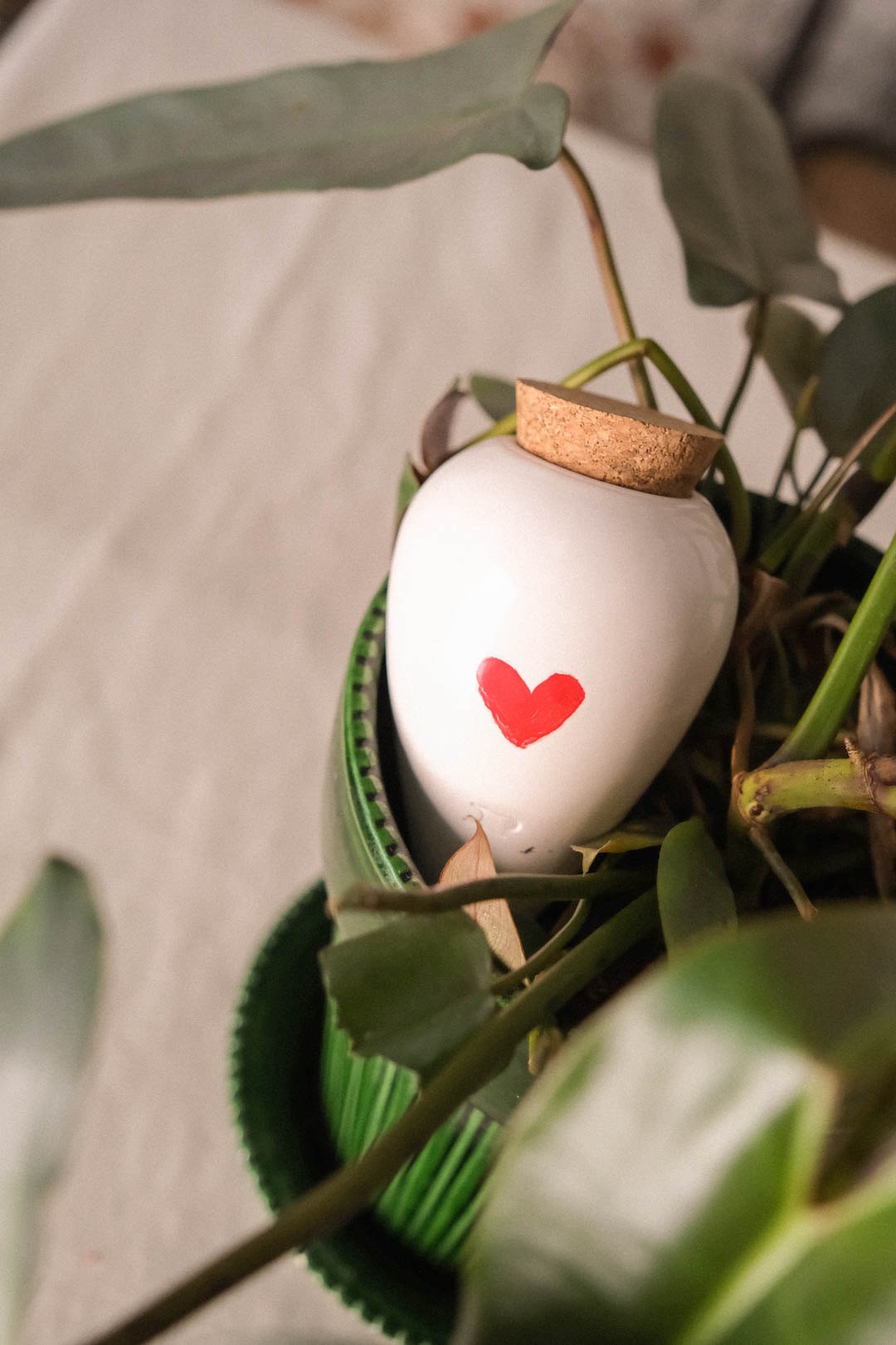 White Pepin Olla with a red heart nestled among the leaves of a houseplant
