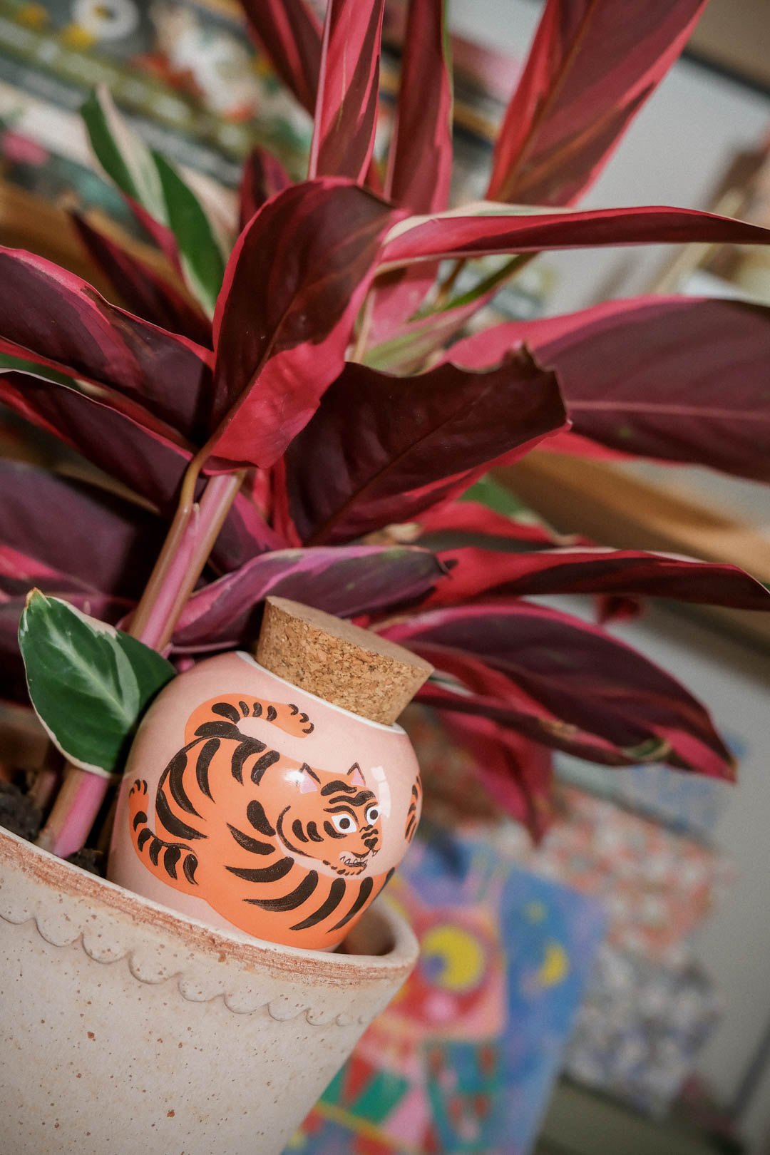 Close-up of the Tiger Pepin Olla by Camille Gressier in a houseplant pot