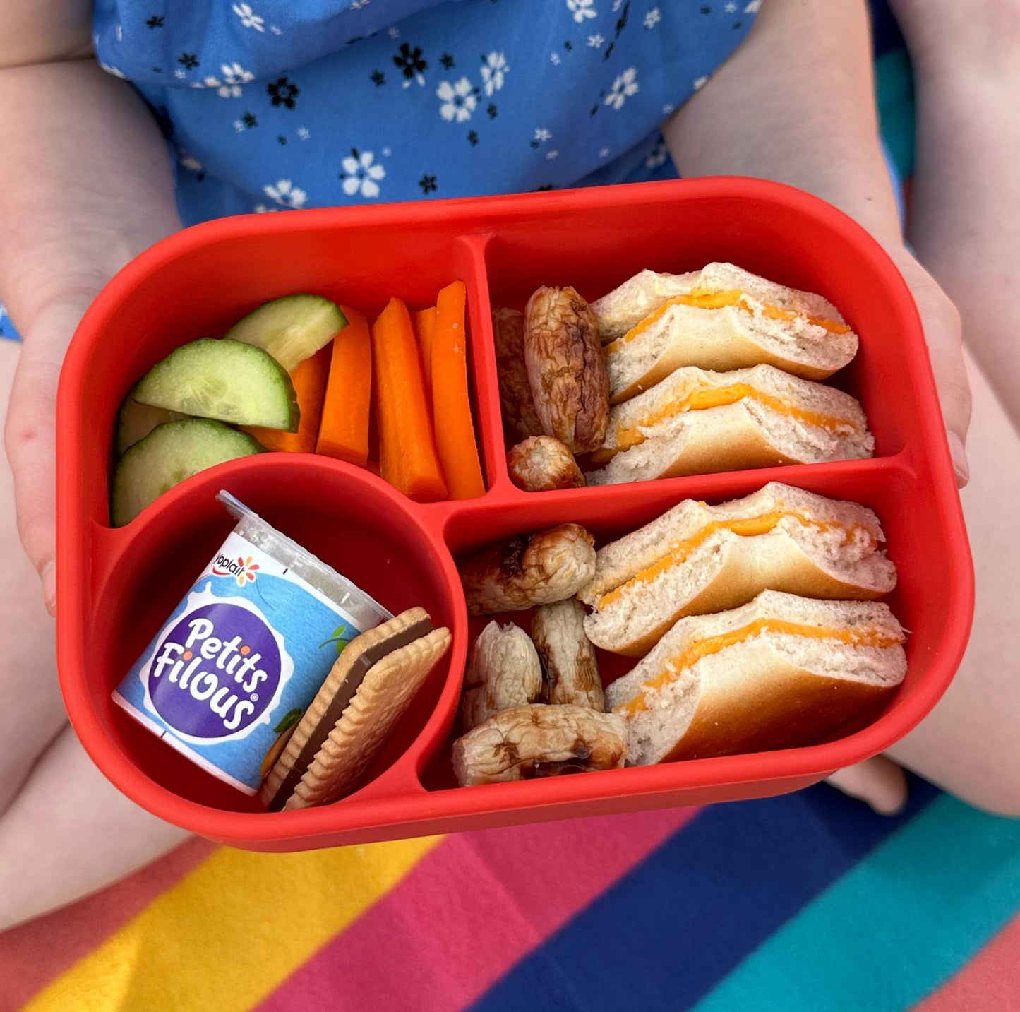 Pick Plates Pick Box Bento Silicone Lunch Box – 4 Compartment 750ml