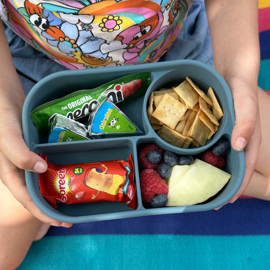 Pick Plates Pick Box Bento Silicone Lunch Box – 4 Compartment 750ml