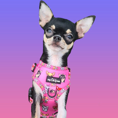 Signature Pink Chihuahua Print Exclusive Small Dog Harness by My Chi and Me SALE