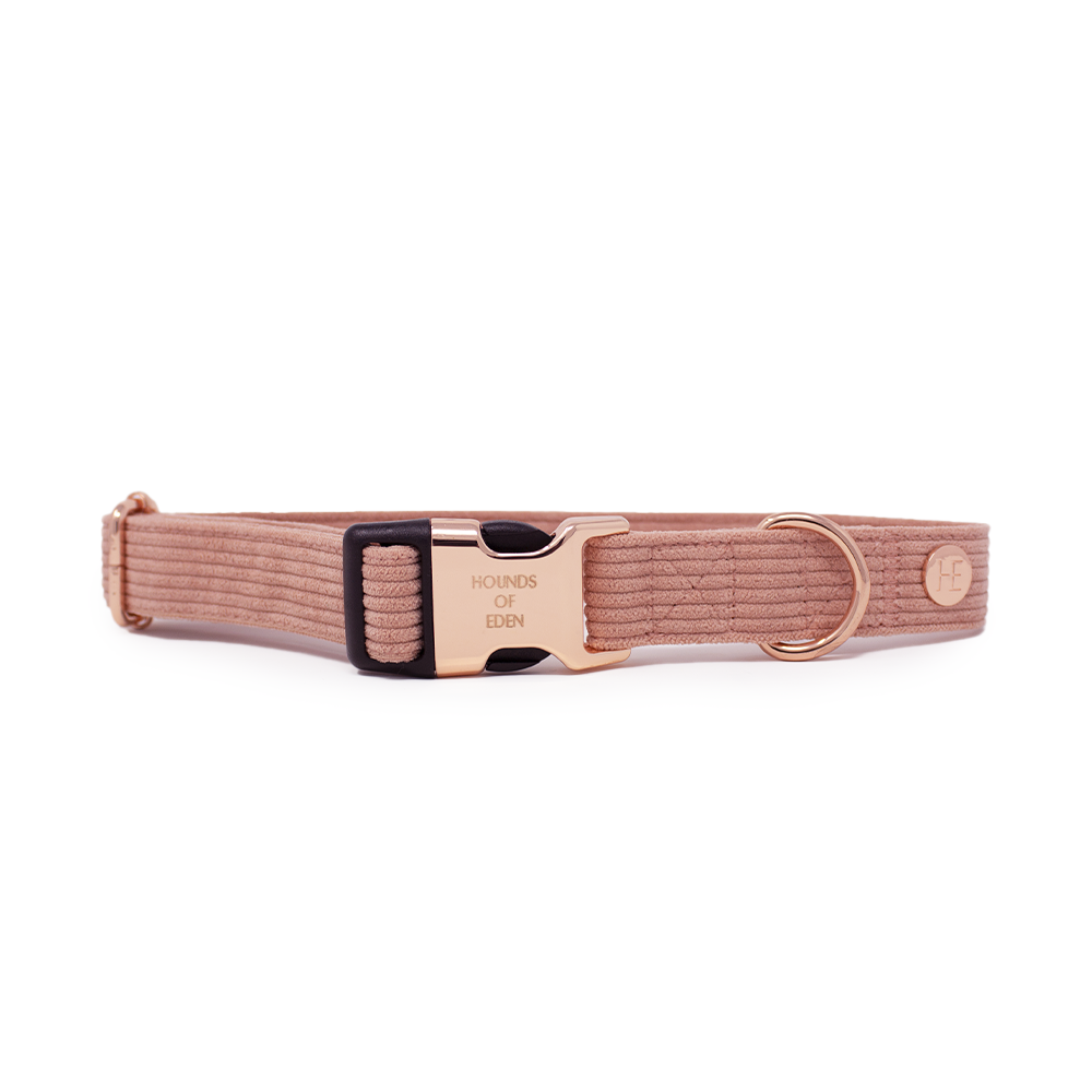 Peach Schnapps - Pink Corduroy Harness