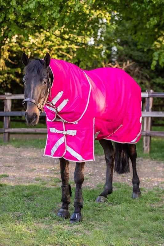 100g Detachable Neck Turnout Rug - Pink