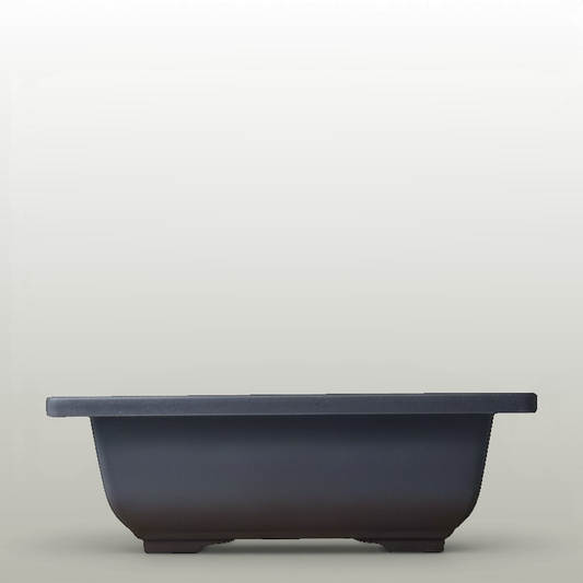 Plastic Bonsai Training Pot | Rectangle | 16cm x 12cm x 6cm