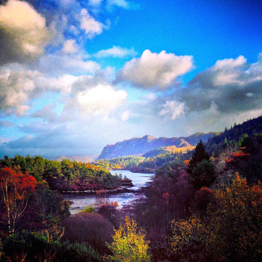 Plockton | Statement Interior Wall Art from Scotland