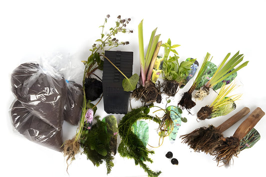 Pond Starter & top up Packs - Oxygenating - Compost and Pots